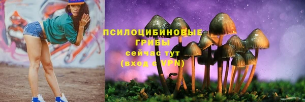 марки nbome Белокуриха